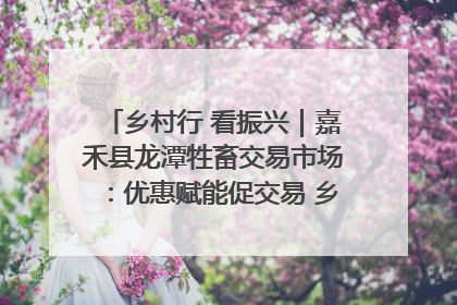 乡村行 看振兴｜嘉禾县龙潭牲畜交易市场：优惠赋能促交易 乡村振兴添动能